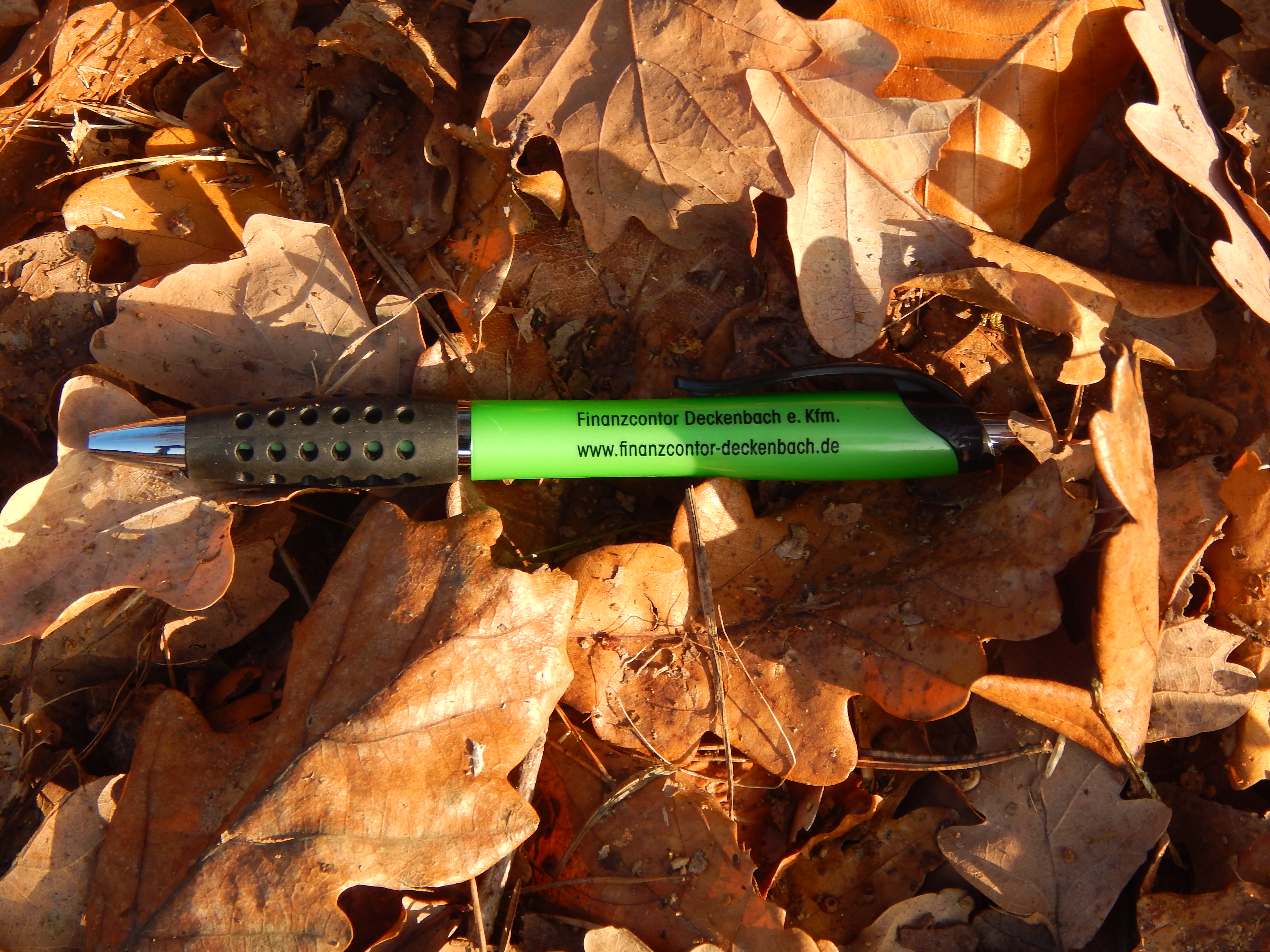 Kugelschreiber Blätter